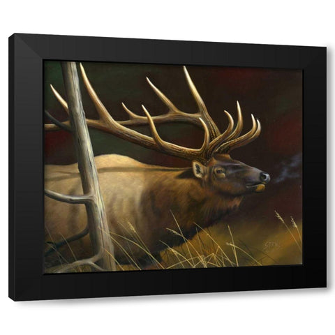 Elk Portrait II Black Modern Wood Framed Art Print by Stans, Leo