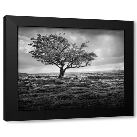 Elegance Black Modern Wood Framed Art Print by Henson, Martin