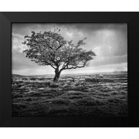 Elegance Black Modern Wood Framed Art Print by Henson, Martin