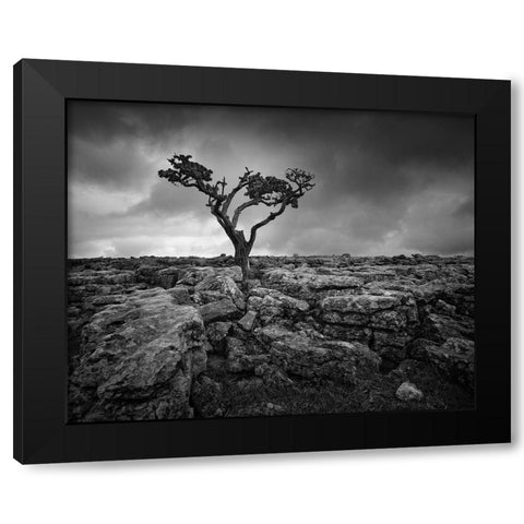 Pavement and Tree II Black Modern Wood Framed Art Print with Double Matting by Henson, Martin