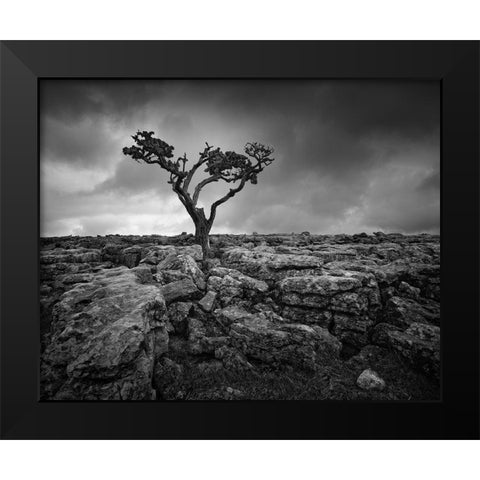 Pavement and Tree II Black Modern Wood Framed Art Print by Henson, Martin