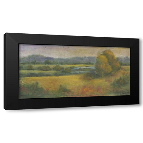 El Dorado Lake II Black Modern Wood Framed Art Print by Combs, Joyce