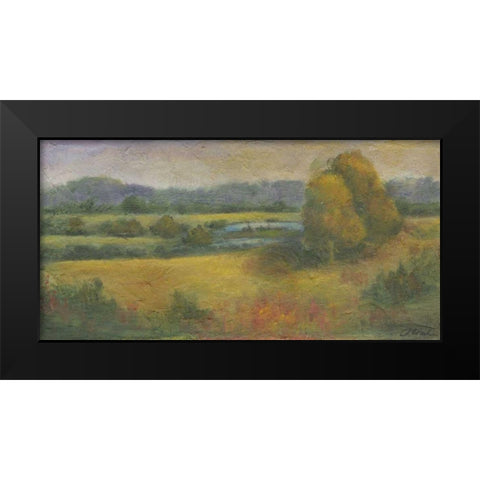 El Dorado Lake II Black Modern Wood Framed Art Print by Combs, Joyce