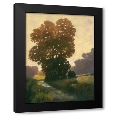 Summertime II Black Modern Wood Framed Art Print with Double Matting by Reynolds, Graham