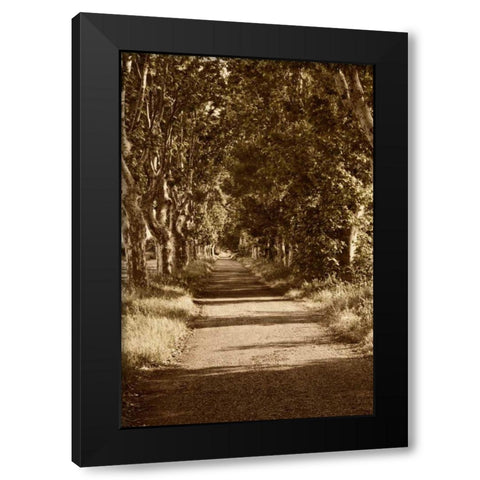 Road to St. Remy Black Modern Wood Framed Art Print by Perry, Rachel