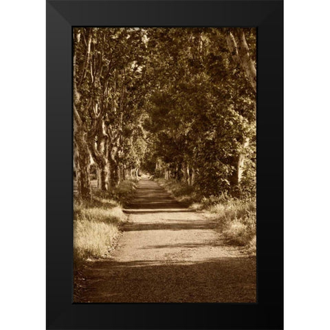Road to St. Remy Black Modern Wood Framed Art Print by Perry, Rachel