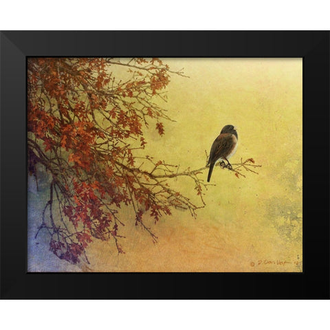 Custom Snow Oak Junco (ASH) Black Modern Wood Framed Art Print by Vest, Chris