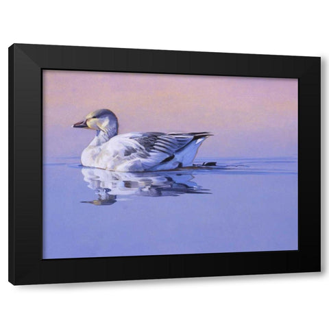 Morning Glory Black Modern Wood Framed Art Print by Chapman, Julie T.