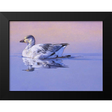 Morning Glory Black Modern Wood Framed Art Print by Chapman, Julie T.