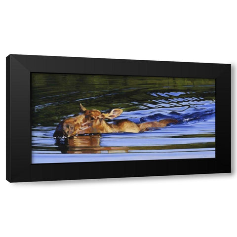 Bathing Beauty Black Modern Wood Framed Art Print with Double Matting by Chapman, Julie T.