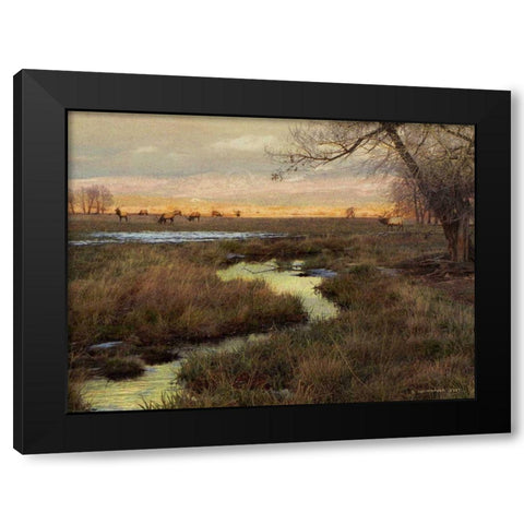 Elk and Creek Black Modern Wood Framed Art Print by Vest, Chris
