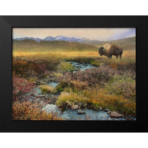 Bison and Creek Black Modern Wood Framed Art Print by Vest, Chris