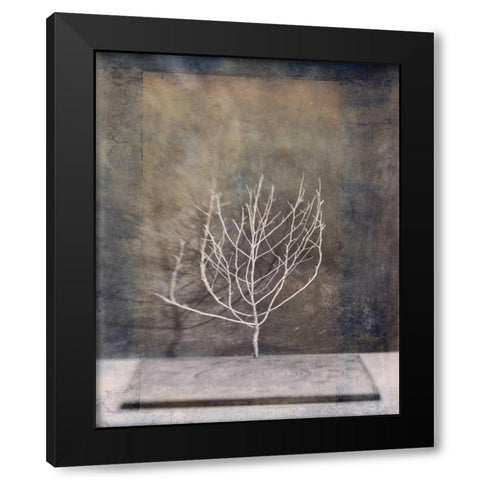 Desert Form II Black Modern Wood Framed Art Print with Double Matting by Ray, Elena