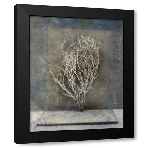 Desert Form III Black Modern Wood Framed Art Print by Ray, Elena