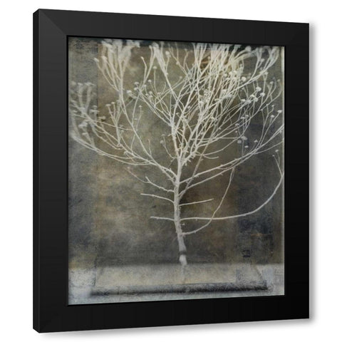 Desert Form IV Black Modern Wood Framed Art Print by Ray, Elena