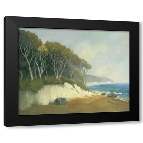 Northern Shore II Black Modern Wood Framed Art Print by Reynolds, Graham
