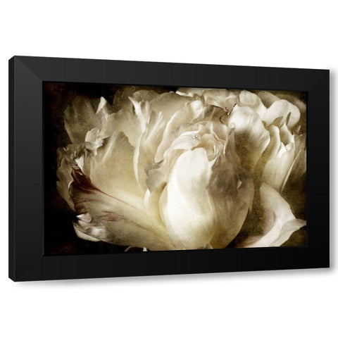 Elegant Peony I Black Modern Wood Framed Art Print by Zalewski, Christine