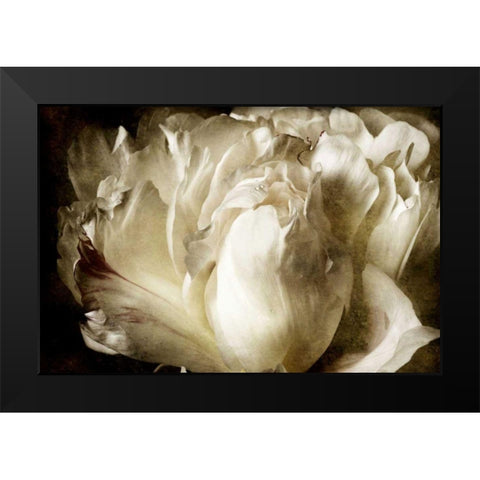 Elegant Peony I Black Modern Wood Framed Art Print by Zalewski, Christine