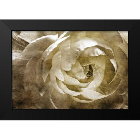 Elegant Peony III Black Modern Wood Framed Art Print by Zalewski, Christine