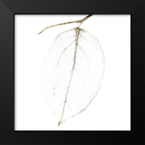 Fall Leaves IV Black Modern Wood Framed Art Print by Zalewski, Christine