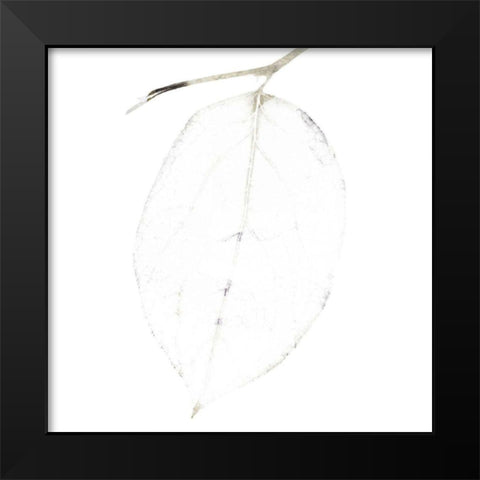 Bamboo Moon I Black Modern Wood Framed Art Print by Zalewski, Christine