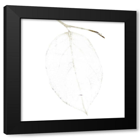 Bamboo Moon II Black Modern Wood Framed Art Print by Zalewski, Christine