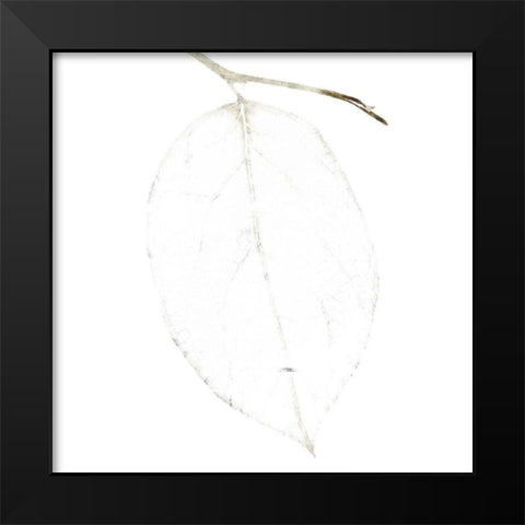 Bamboo Moon II Black Modern Wood Framed Art Print by Zalewski, Christine