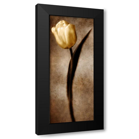 Damask Tulip II Black Modern Wood Framed Art Print by Zalewski, Christine