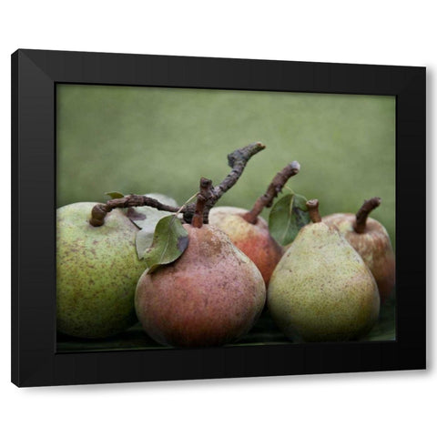 Comice Pears I Black Modern Wood Framed Art Print with Double Matting by Perry, Rachel