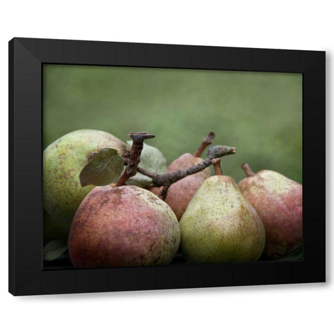 Comice Pears II Black Modern Wood Framed Art Print with Double Matting by Perry, Rachel