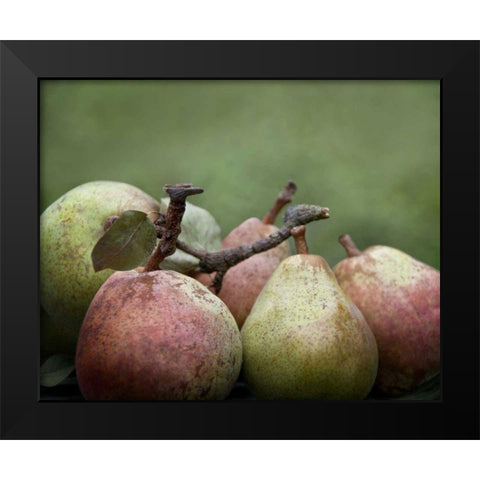 Comice Pears II Black Modern Wood Framed Art Print by Perry, Rachel