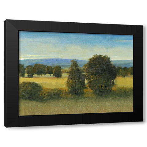 Verdant Meadow I Black Modern Wood Framed Art Print with Double Matting by OToole, Tim