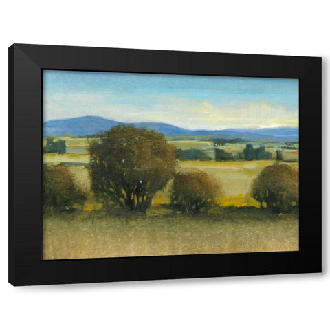 Verdant Meadow II Black Modern Wood Framed Art Print with Double Matting by OToole, Tim