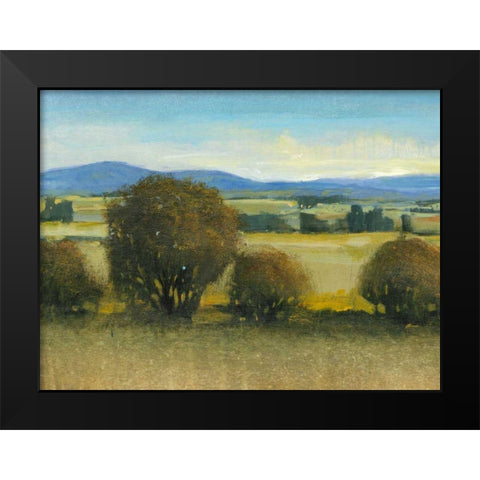 Verdant Meadow II Black Modern Wood Framed Art Print by OToole, Tim