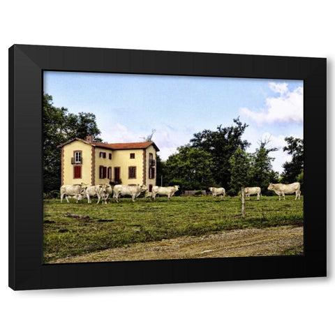 Cow Palace Black Modern Wood Framed Art Print by Chester, Colby