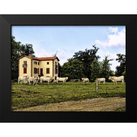 Cow Palace Black Modern Wood Framed Art Print by Chester, Colby