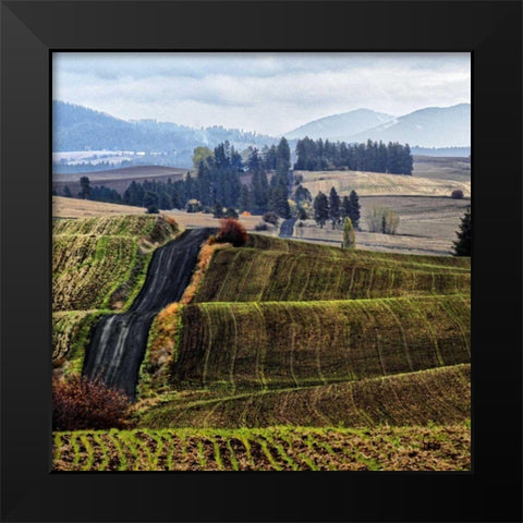 Palouse Hills Black Modern Wood Framed Art Print by Chester, Colby