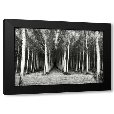 Alley At Lac Duby Black Modern Wood Framed Art Print by Chester, Colby