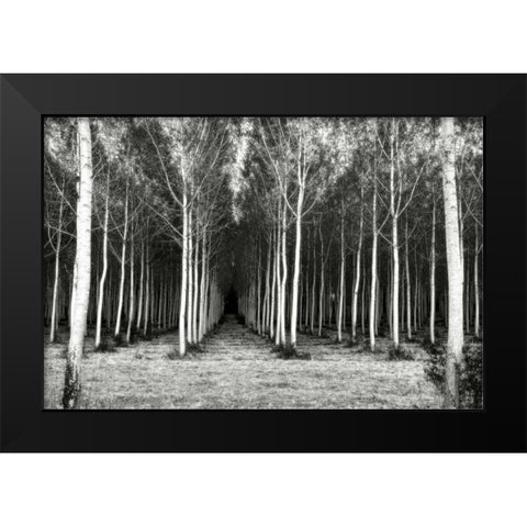 Alley At Lac Duby Black Modern Wood Framed Art Print by Chester, Colby
