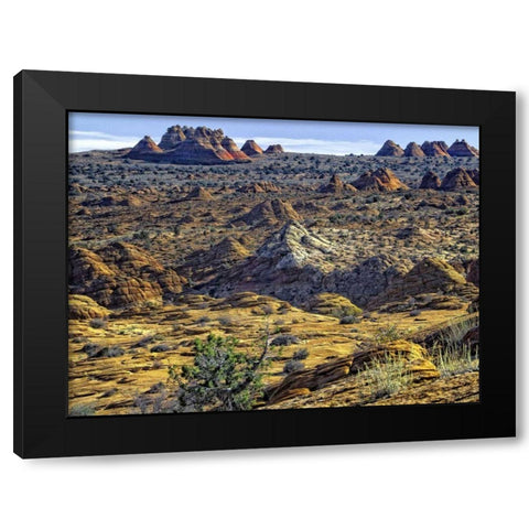 View from Coyote Buttes Black Modern Wood Framed Art Print with Double Matting by Chester, Colby