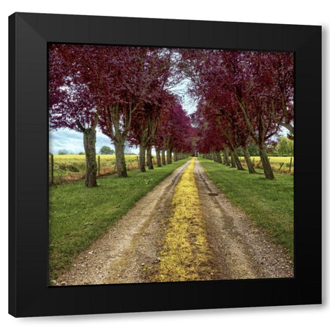 Approach Black Modern Wood Framed Art Print with Double Matting by Chester, Colby