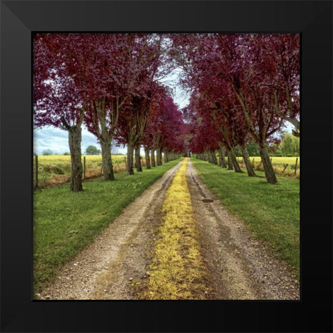 Approach Black Modern Wood Framed Art Print by Chester, Colby