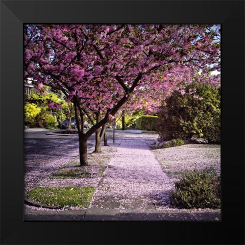 Fallen Petals Black Modern Wood Framed Art Print by Chester, Colby