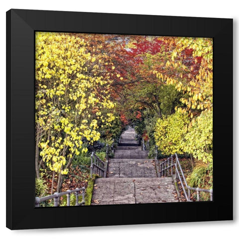 Autumn Tunnel Black Modern Wood Framed Art Print with Double Matting by Chester, Colby