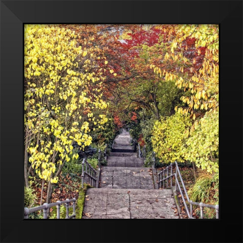 Autumn Tunnel Black Modern Wood Framed Art Print by Chester, Colby