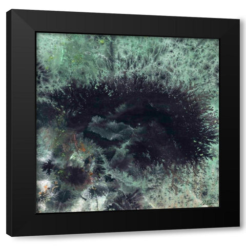 Coral and Jelly Fish I Black Modern Wood Framed Art Print with Double Matting by Roll, Dlynn