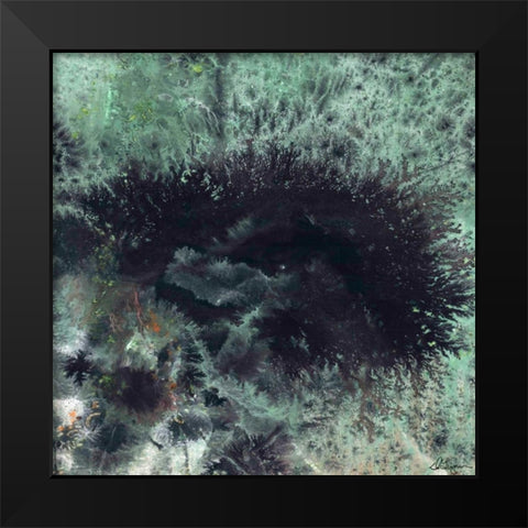 Coral and Jelly Fish I Black Modern Wood Framed Art Print by Roll, Dlynn