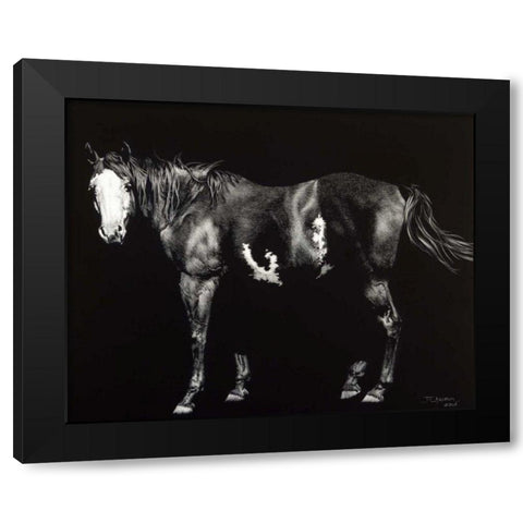 Bald-Faced Broodmare Black Modern Wood Framed Art Print with Double Matting by Chapman, Julie T.