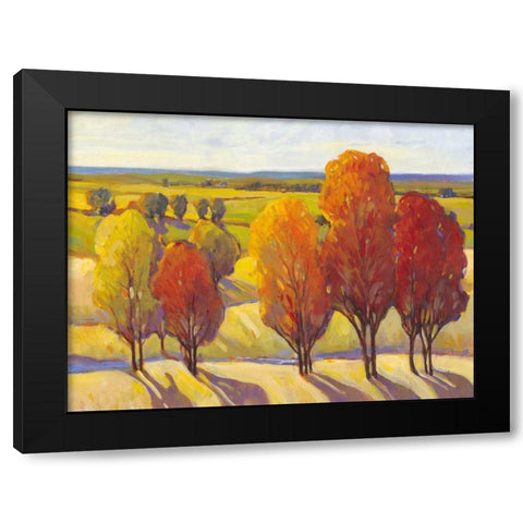 Day Glow I Black Modern Wood Framed Art Print by OToole, Tim