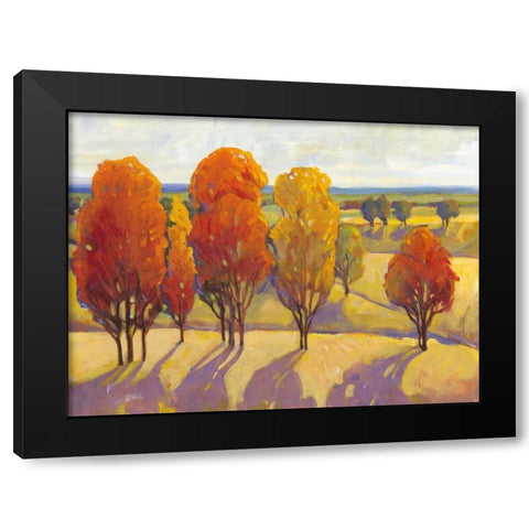 Day Glow II Black Modern Wood Framed Art Print with Double Matting by OToole, Tim